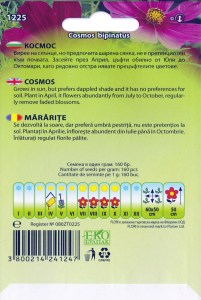 1225_Kosmos_back