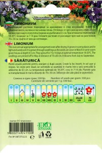 1256_Limonium_back