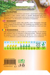 301_Rozmarin_back