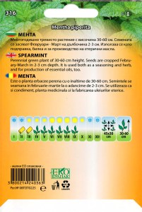 316_Menta_back
