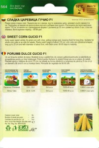 564_Guchio_back