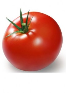 Domati_Optima_F1_n_2