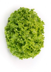 Salata_Akvarel_3_n