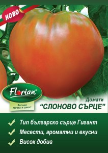 Slonovo-sarceoup-5