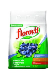 Боровинки